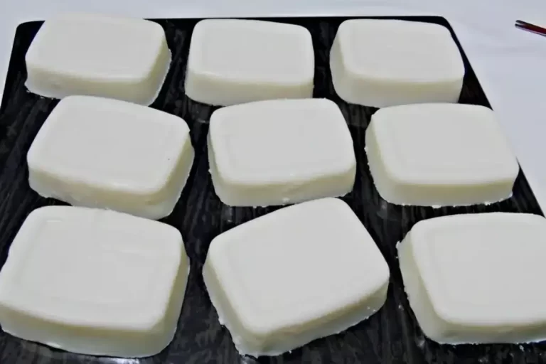 Sabão de coco caseiro